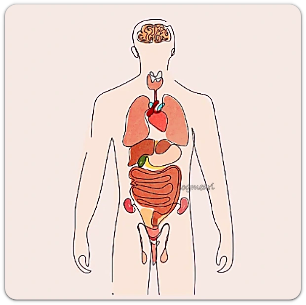 소화력